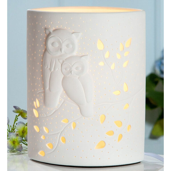 Allegan Large Porcelain Owl Design Table Lamp In White