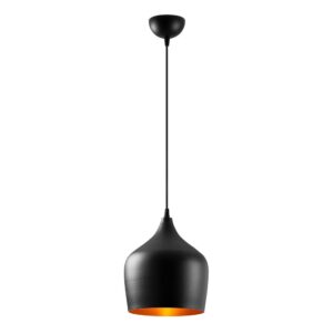 Dodo Metal Ceiling Pendant Light in Black